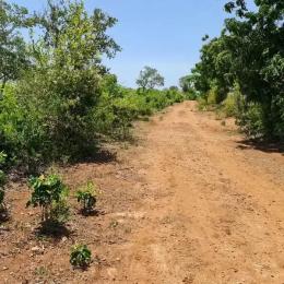 Land for sale Diani Mombasa