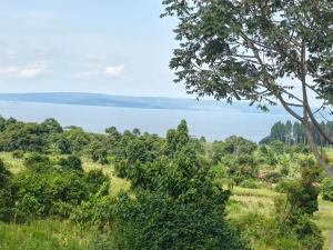 Land for sale Ngombere katosi road  Buikwe Central