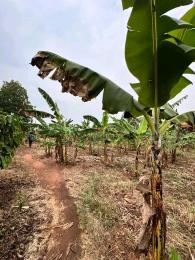 Land for sale Gayaza kiwenda Gayaza Wakiso Central