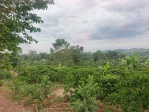 Land for sale Kyankwanzi Kyankwanzi Central