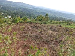Land for sale Seeta mukono  Kampala Central Kampala Central