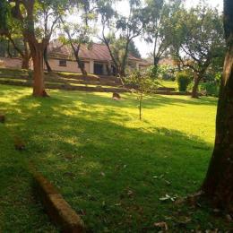 Land for sale Mbuya mutungo hill Kampala Central Kampala Central