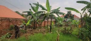 Land for sale Najjera buwaate  Kampala Central