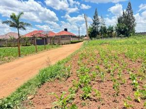 Land for sale Kira nakwero canan site  Kira Wakiso Central