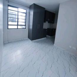 1 bedroom mini flat  Bedsitter Flat&Apartment for rent Ruaka near quick mart  Ruaka Nairobi