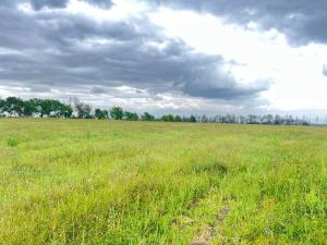 Land for sale Nyeri Nyeri