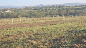 Land for sale Kisaju Kitengela