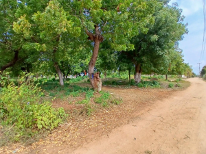 Land for sale Shanzu creek, Shanzu Mombasa
