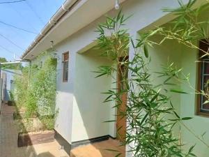 1 bedroom mini flat  Bungalow Apartment for rent Kisasi kulabilo road  Kisaasi Kampala Central