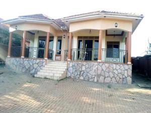4 bedroom Bungalow Apartment for rent Namugongo  Kampala Central