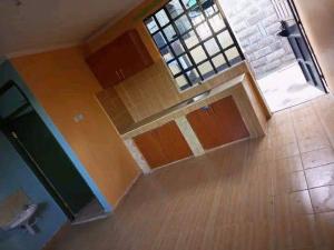 Bedsitter Flat&Apartment for rent TRM/Roysambu Thika Road Thika Road Nairobi