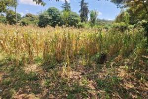 Land for sale Kerarapon Nairobi