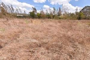 Land for sale Ngong Kajiado