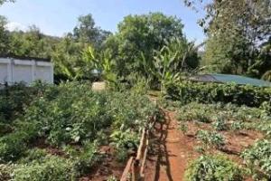 Land for sale Ngong Kajiado