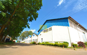 Warehouse Commercial Properties for rent ... Thika Road Nairobi