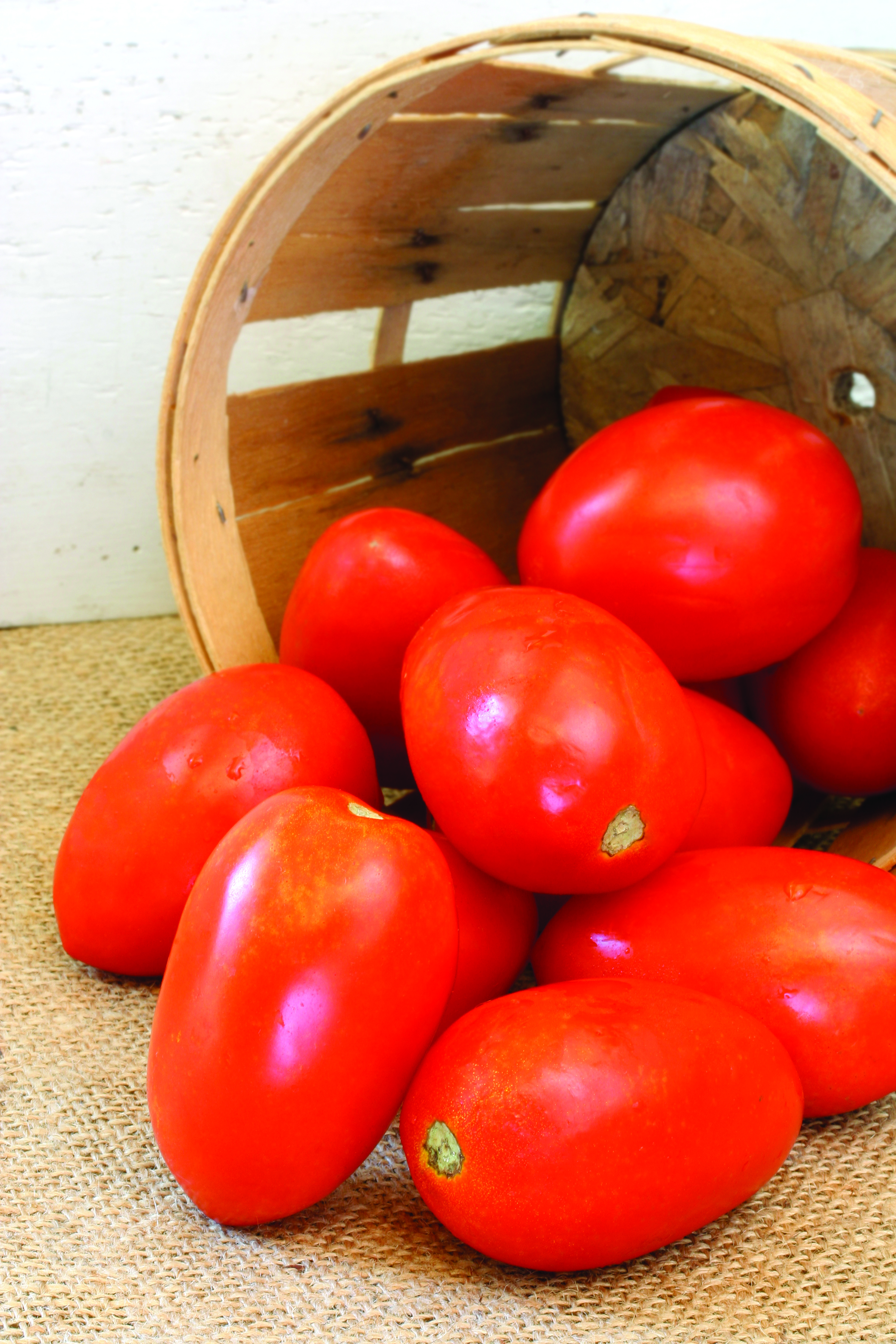 'San Marzano' Heirloom Tomato 
