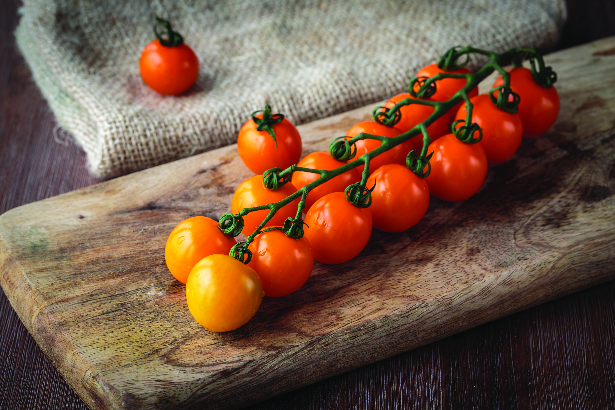 'Sungold' Cherry Tomato