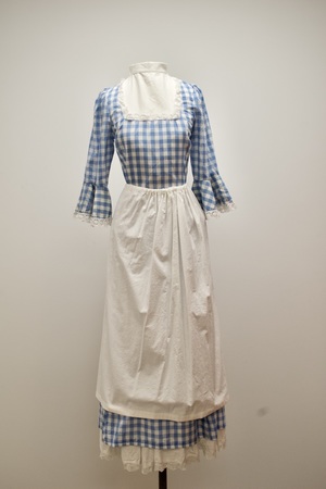 Blue and White Checked Gingham Dress