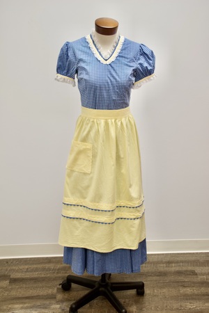 Blue Checked Dress with Yellow Apron
