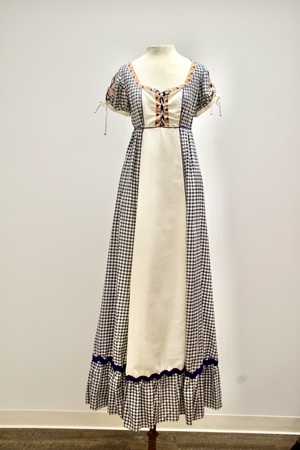 Women's Navy Blue Checked Dress