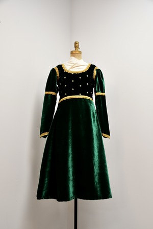 Exquisite Costumes:: Rent Shrek Teen Fiona Costume Dress