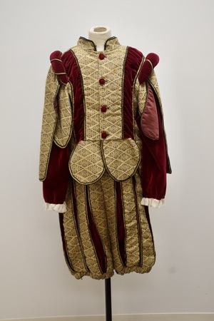 Boy's Gold and Red Velvet Renaissance Courtier Costume