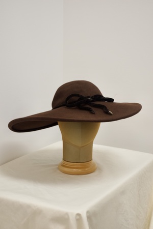 Brown Wide Brimmed Hat