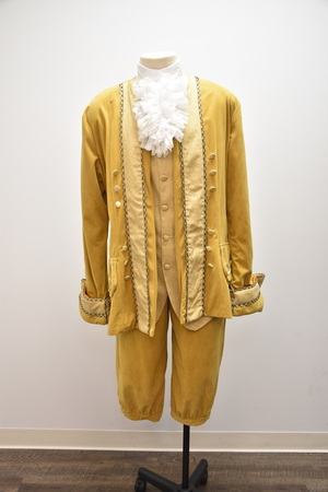 18th Century Mens Yellow Velvet Court Dress Coat