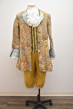 18th Century Mens Tapestry Court Dress Coat