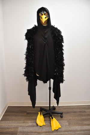 Black Crow