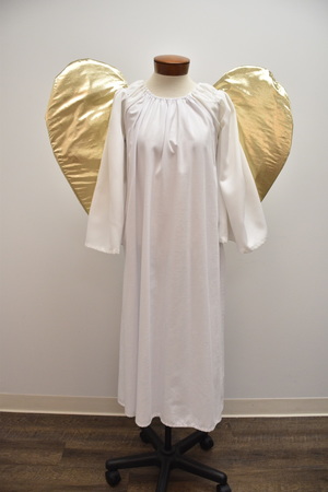 Angel with Wings