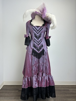 Victorian Purple Iridescent Bodice and Skirt