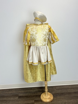 slim fit dress slacks Belle golden dress costume for adult – Cosplayrr main image 1