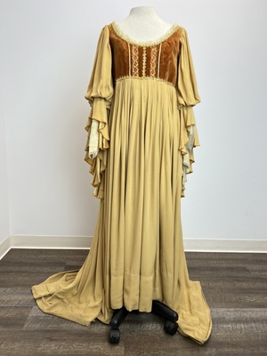 Yellow Gold Renaissance Dress with Brown Velvet Bodice