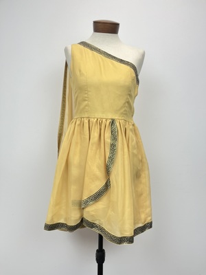 Yellow Greek/Greek Chorus Dress