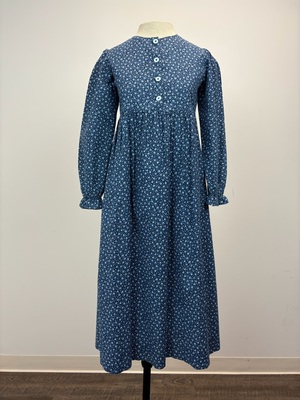 Blue Calico Long-Sleeve Dress