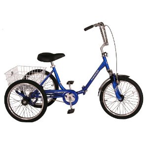 FAMILY RENTALS OF DELRAY INC:: FAMILY RENTALS OF DELRAY INC:: Bike - Adult  Three Wheeler, Trike