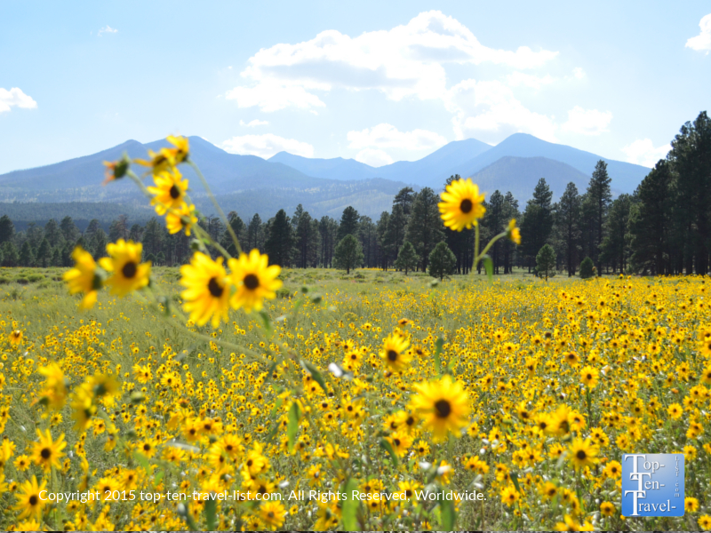 Flagstaff