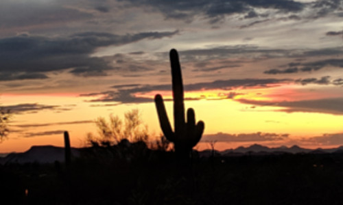 Tucson