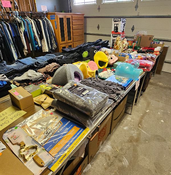 Elk Grove Village Community Garage Sales! 86 Homes! photo