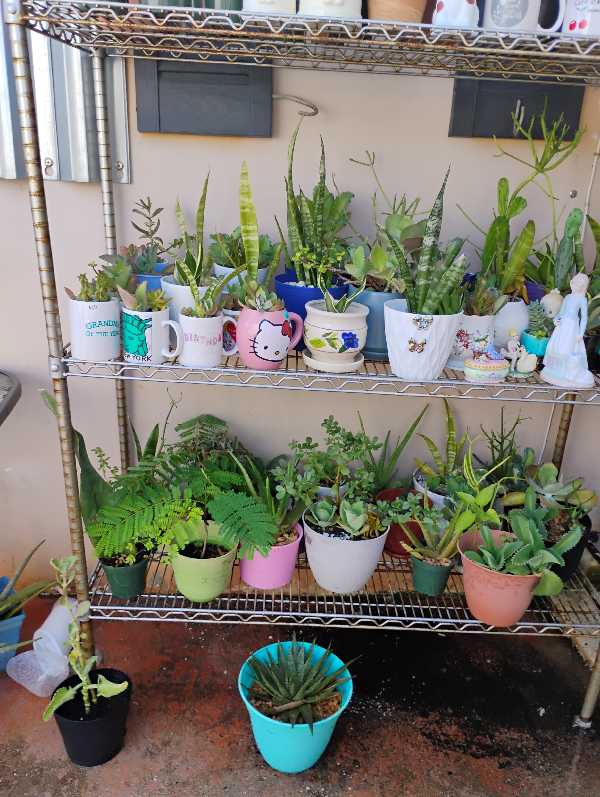 Venta de garagesale 10am 3 pm photo