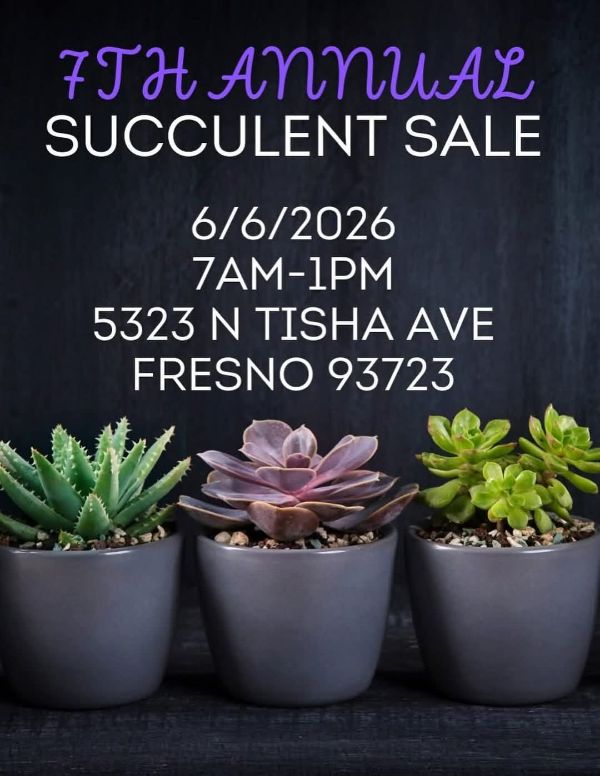 GIANT Yard Sale - 36 Homes & Succulent Sale photo