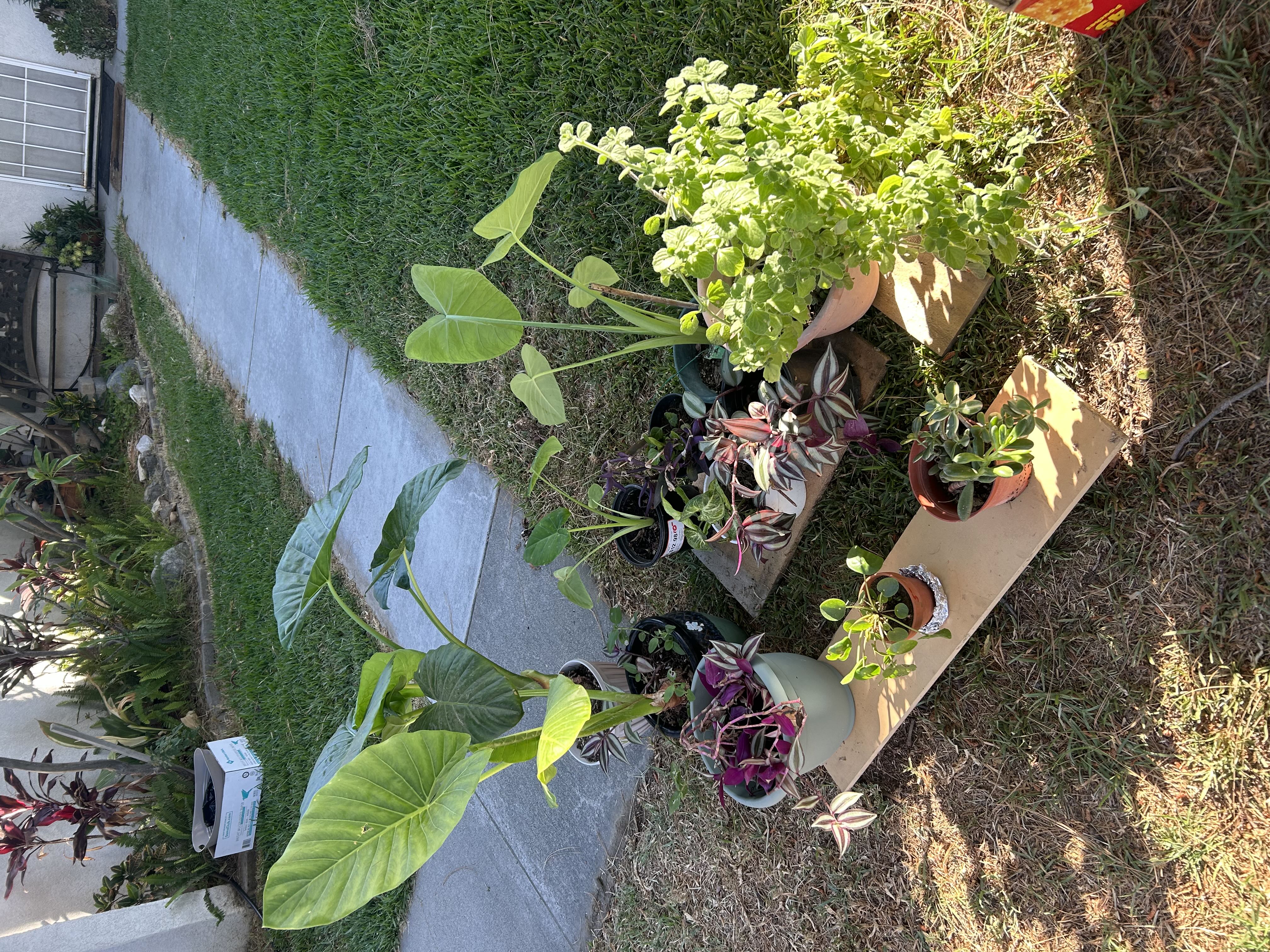 Yard Sale!! photo