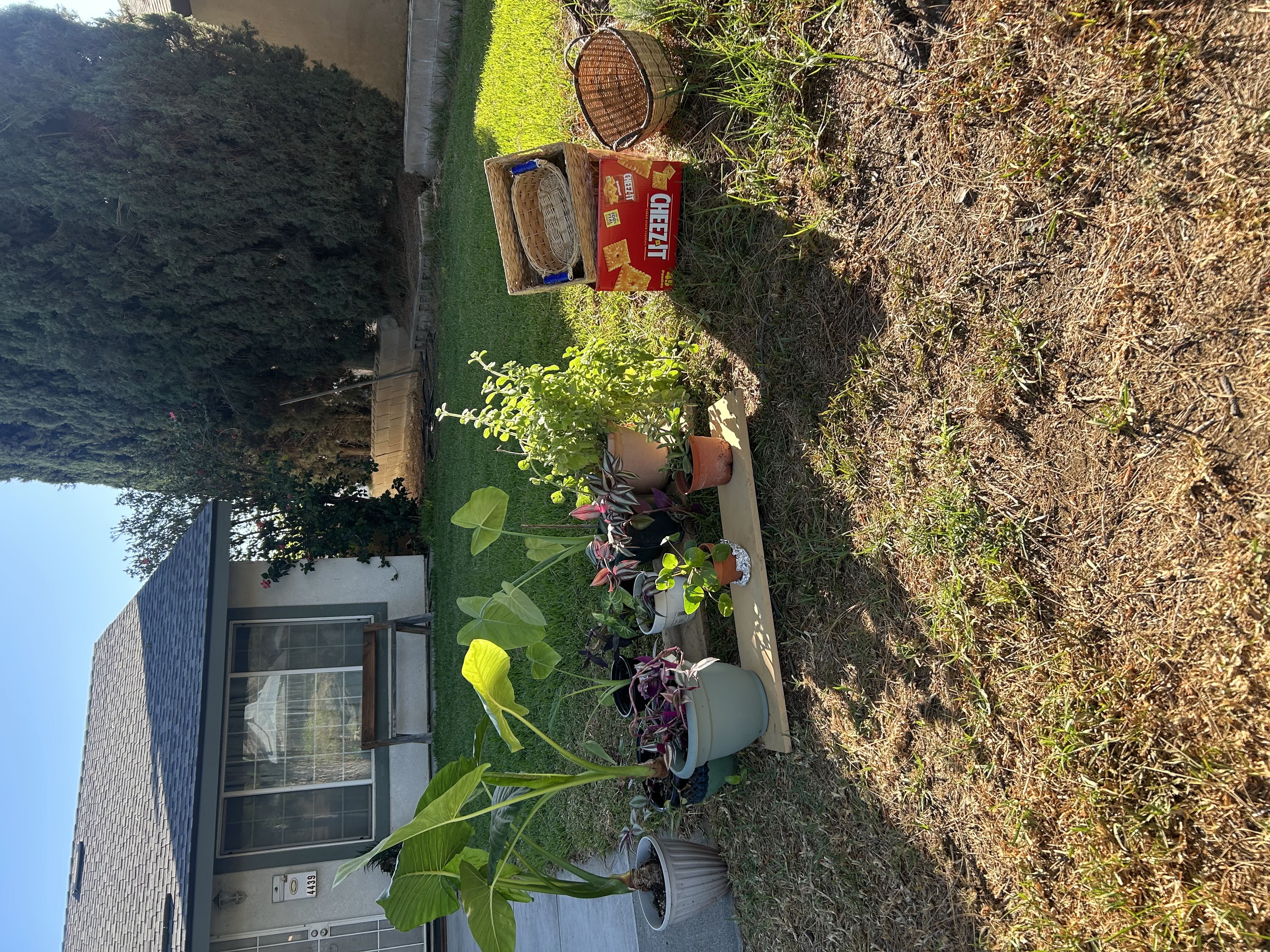 Yard Sale!! photo