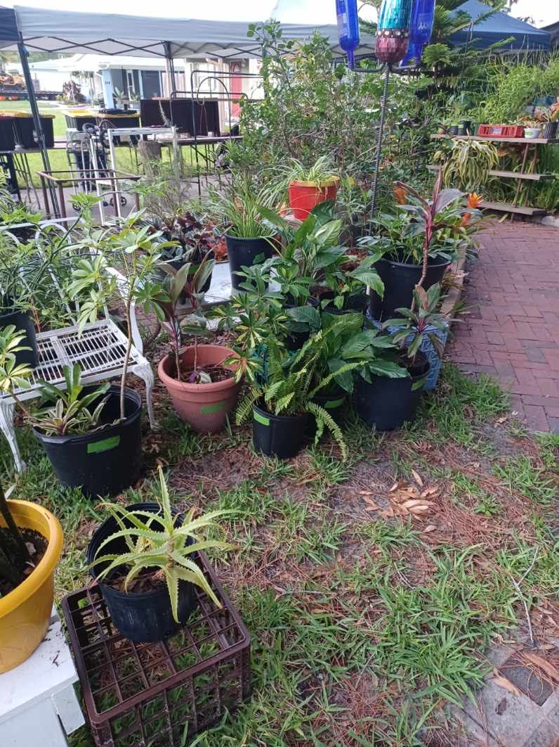 Paul’s Pickem Garage Sale photo