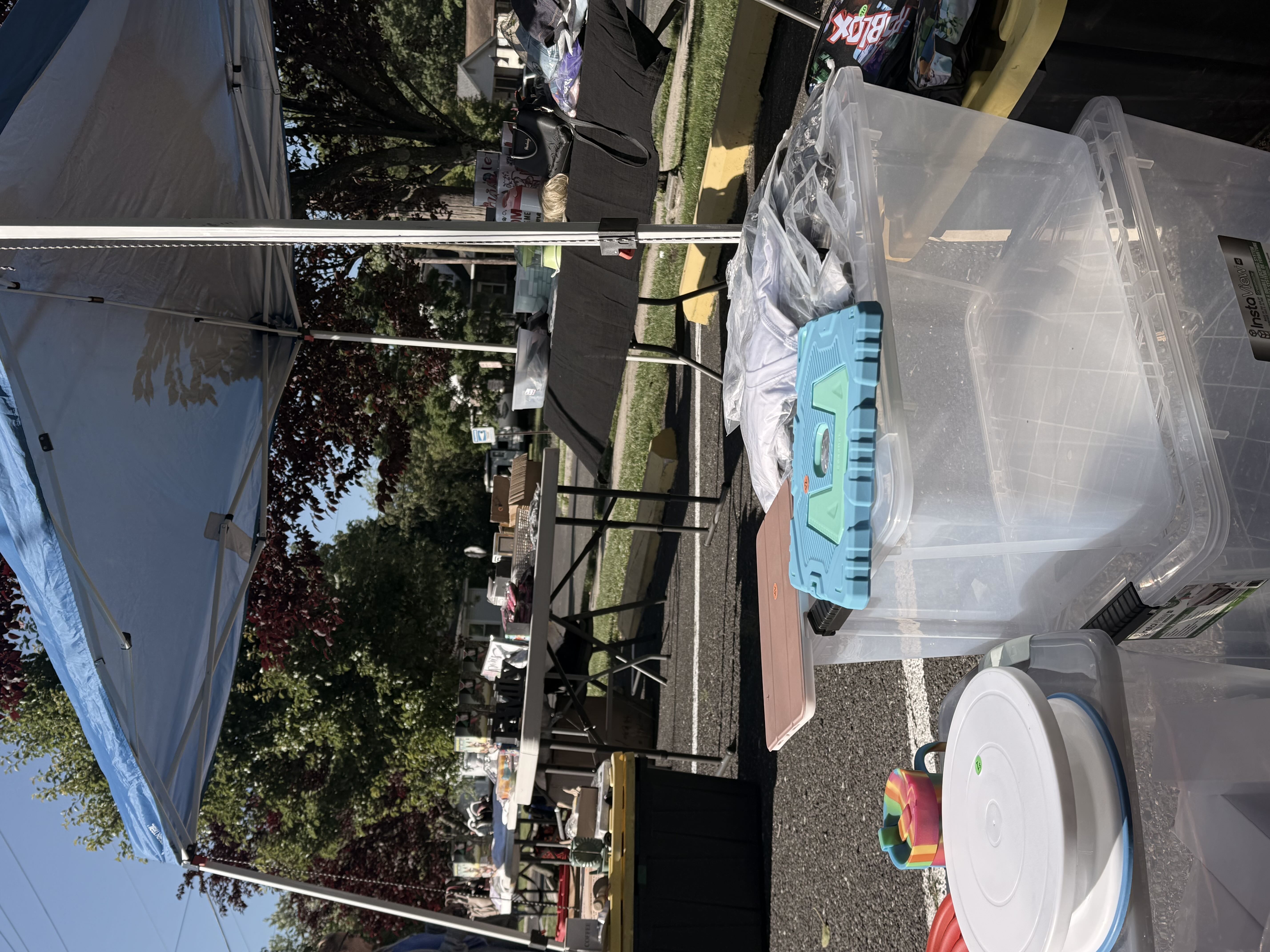 Lion of Juda flea market photo