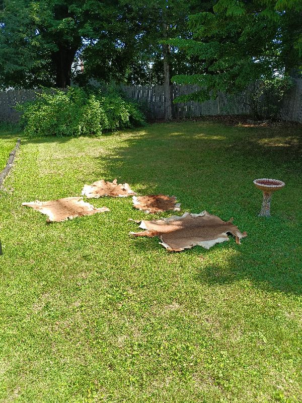 Yard Sale photo