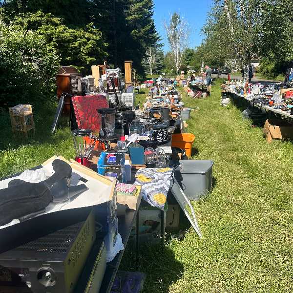 HUGE YARD SALE TREASURE HUNT – VINTAGE, FURNITURE, TOOLS & MORE photo