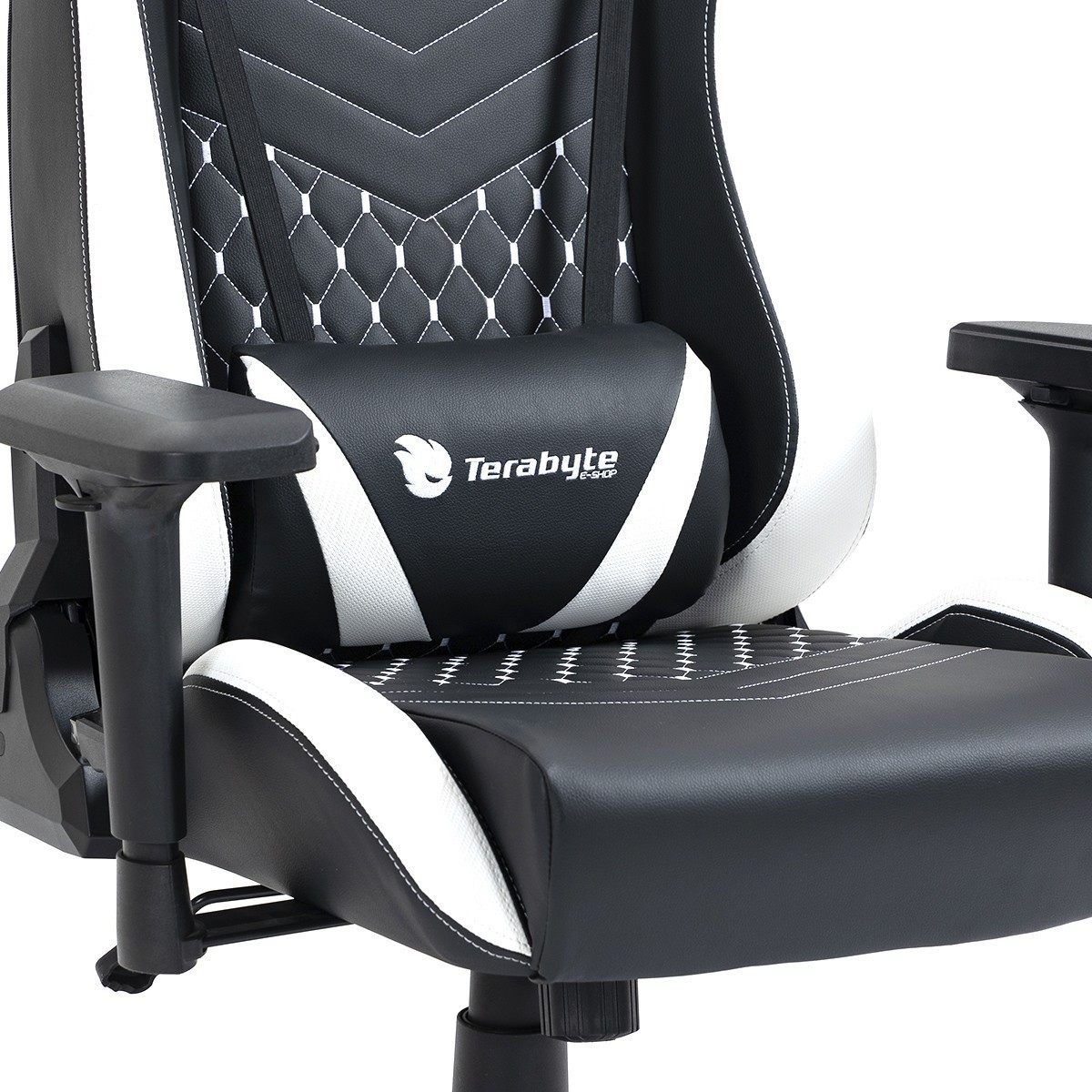 Cadeira Gamer Terabyte Black Throne, Reclinável, 4D, Preto e Branco