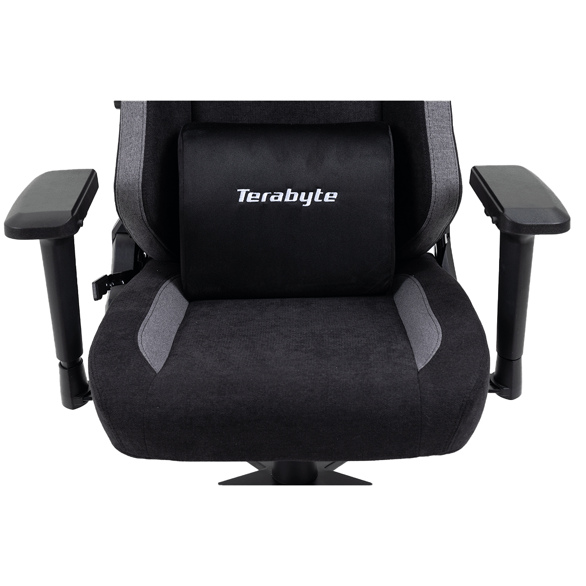 Cadeira Gamer Terabyte Style, Reclinável , 4D, Preto e Cinza